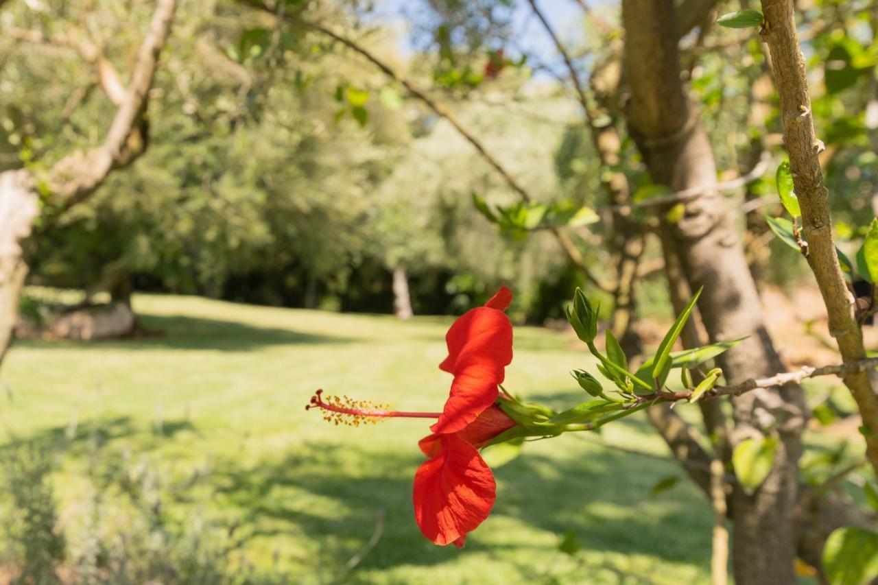 Vakantiehuis Murtera- Traditional Country Manor House For 9 People 5 Bedrooms And 4 Bathrooms Near Sant Llorenc