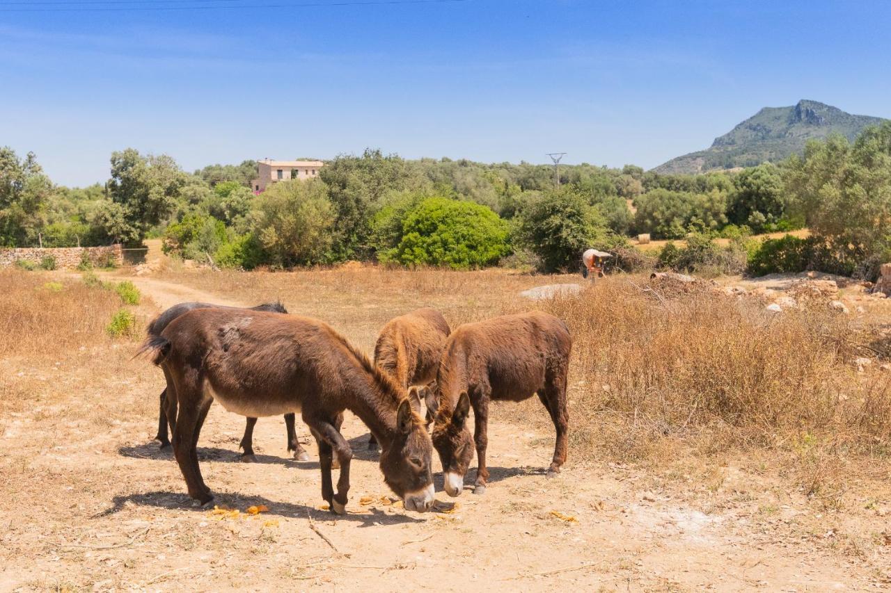 Murtera- Traditional Country Manor House For 9 People 5 Bedrooms And 4 Bathrooms Near Sant Llorenc Vakantiehuis